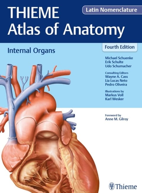 Internal Organs (THIEME Atlas of Anatomy), Latin Nomenclature