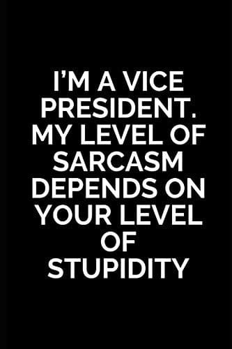 I'm A Vice President.My Level of Sarcasm Depends On Your Level of Stupidity Vice President Gifts, Unique Funny Inspirational Gift for Men and Women - Diary Diary for Birthday, Christmas, Wedding Gifts