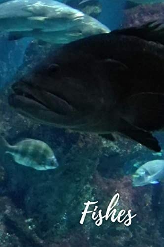 Fishes Aquarium Series: Underwater World Notebook