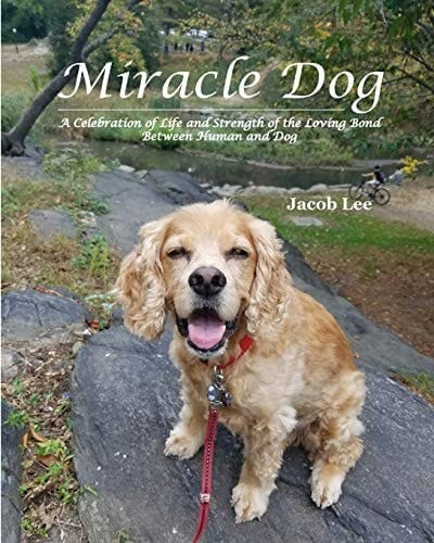 Miracle Dog A Celebration of Life and Strength of the Loving Bond Between Human and Dog
