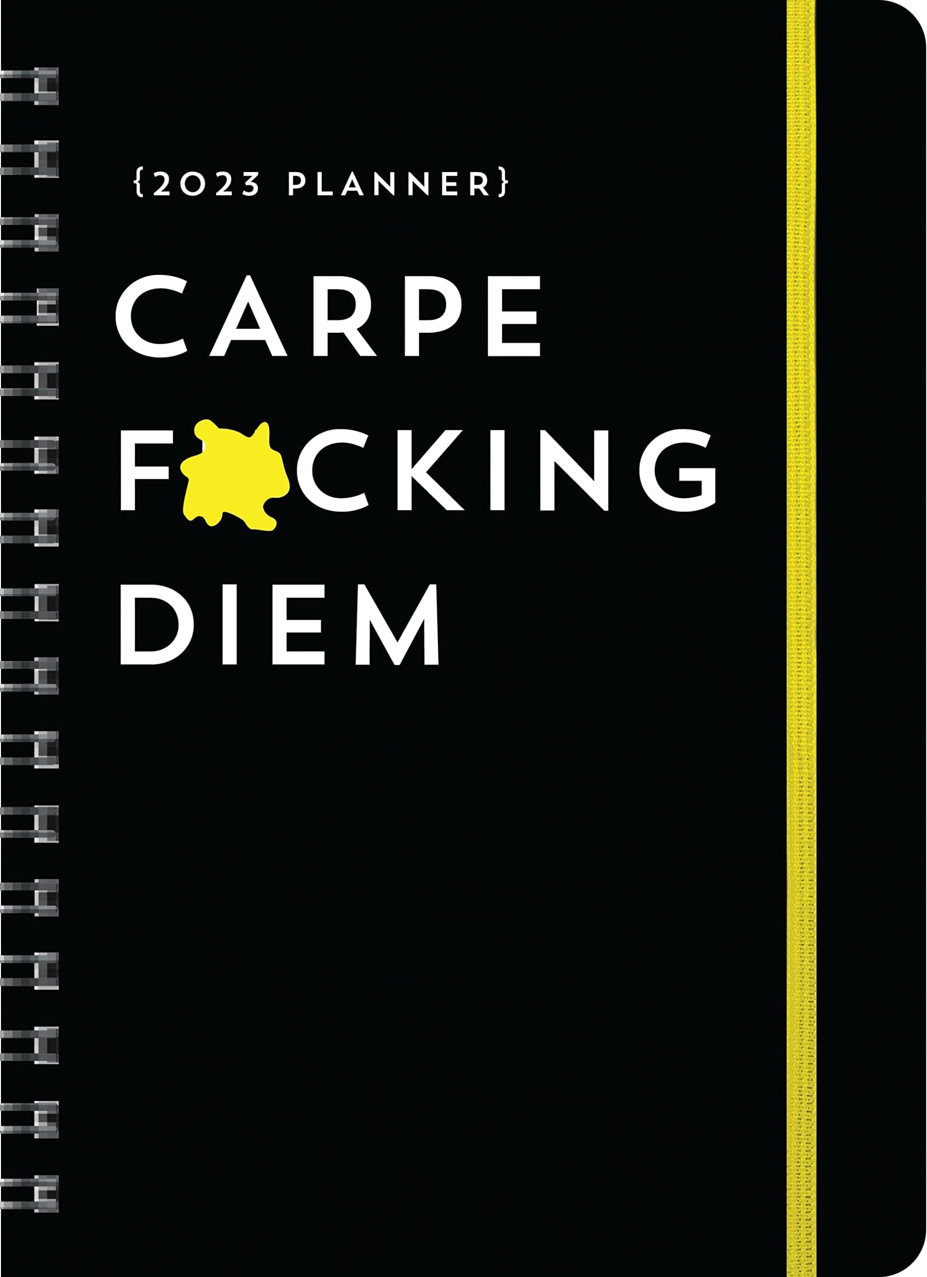 2023 Carpe F*cking Diem Planner August 2022-December 2023
