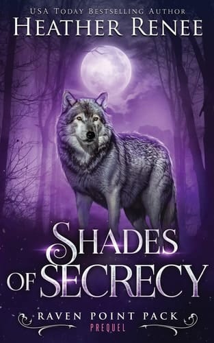 Shades of Secrecy Prequel Novella