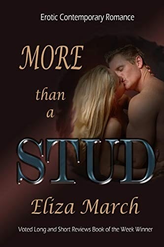 More Than a Stud A Short Erotic Contemporary Romance