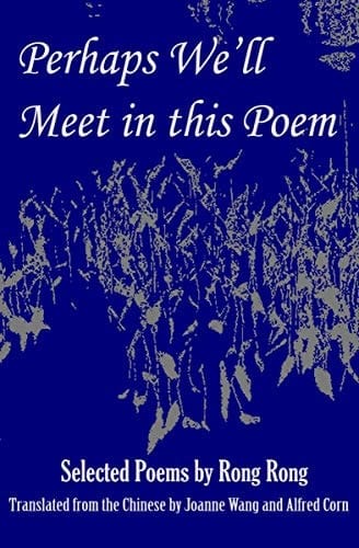 Perhaps We'll Meet in This Poem: Selected Poems by Rong Rong