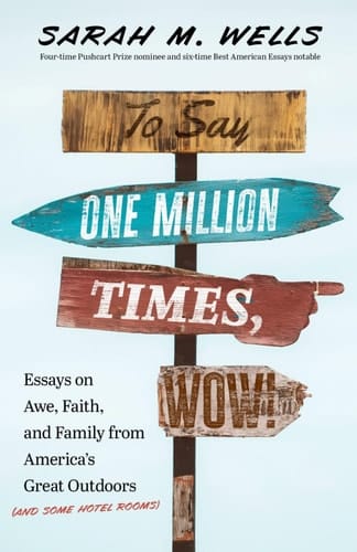 To Say One Million Times, Wow!: Essays on Awe, Faith, and Family from America’s Great Outdoors (and Some Hotel Rooms)