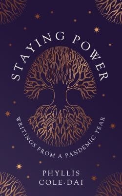 Staying Power Writings from a Pandemic Year
