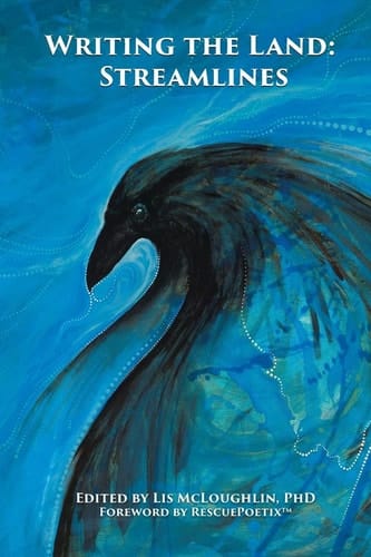 Writing the Land Streamlines