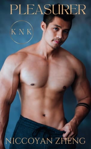 Pleasurer: KNK Matchmaking Agency