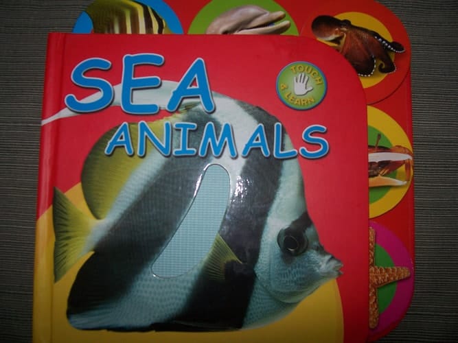 Sea Animals