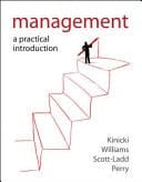 Management A Practical Introduction
