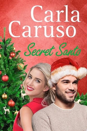 Secret Santo: Destiny Romance Destiny Romance