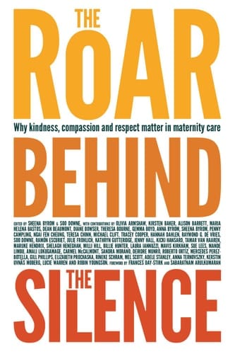 The Roar Behind the Silence Why kindness, compassion and respect matter in maternity care