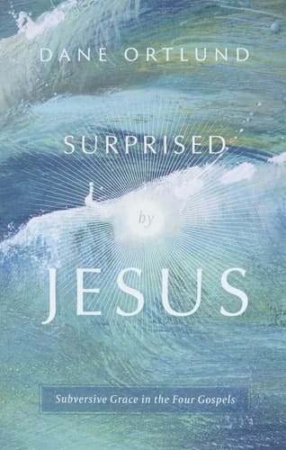 Surprised by Jesus Subversive Grace in the Four Gospels