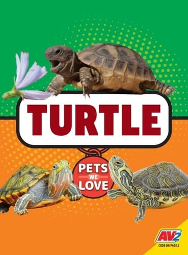 Turtle