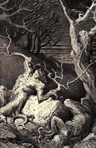 UNQUIET GROVE.