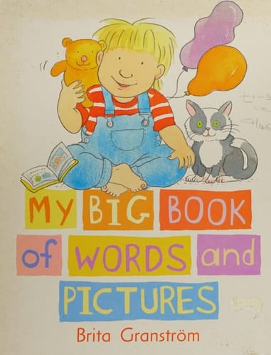 My Big Book of Words and Pictures