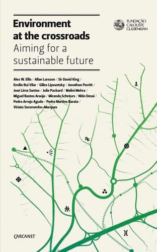 Environment at the Crossroads