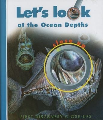 Lets Look At The Ocean Depths