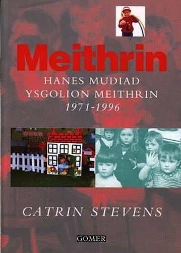 Meithrin hanes Mudiad Ysgolion Meithrin 1971-1996