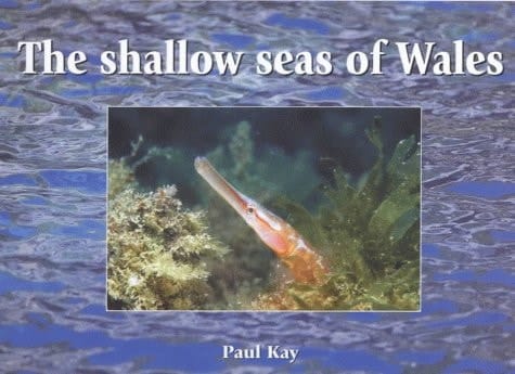 The shallow seas of Wales