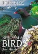 Life-Size Guide to New Zealand Birds