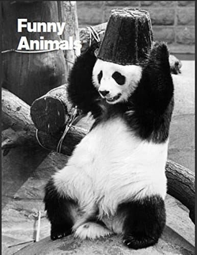 Funny Animals