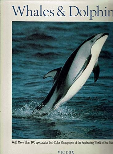 Whales & Dolphins