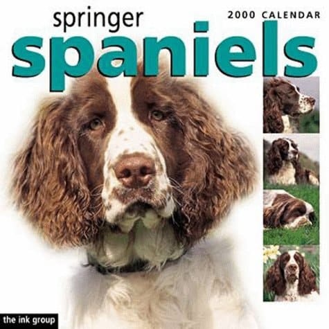 Springer Spaniels 2000 Calendar