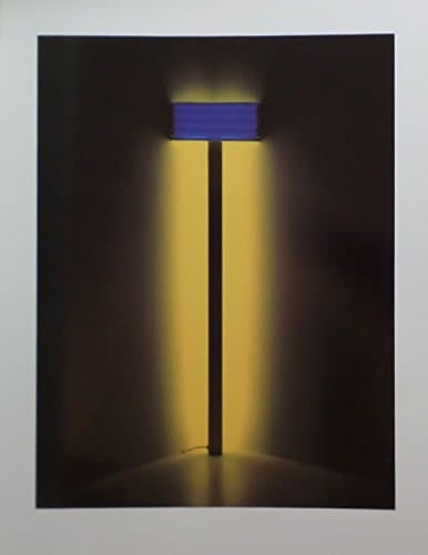 Dan Flavin: Tall cornered fluorescent light : December 3, 1993-January 15, 1994, Pace Gallery, New York City