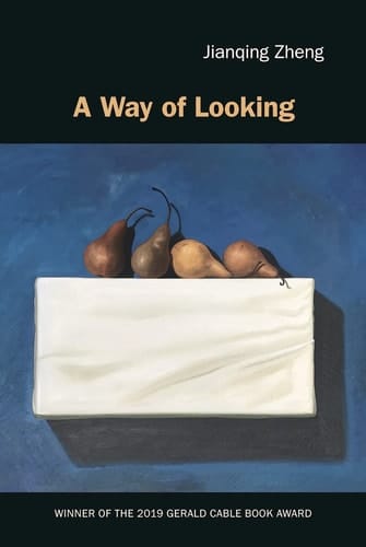A Way of Looking