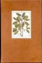 Shamanic Snuffs Or Entheogenic Errhines