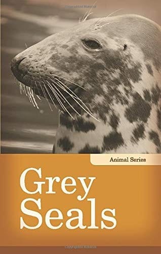 Grey Seals