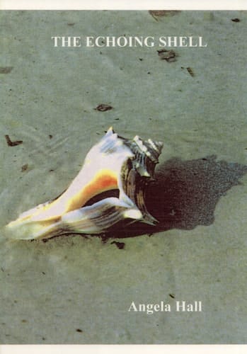The Echoing Shell