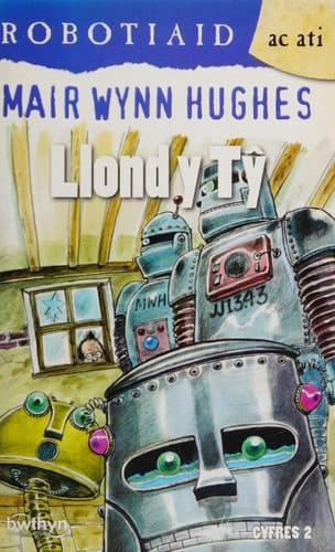 Llond y tŷ