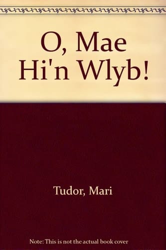 Cyfres Dysgu Difyr O, Mae Hi'n Wlyb!