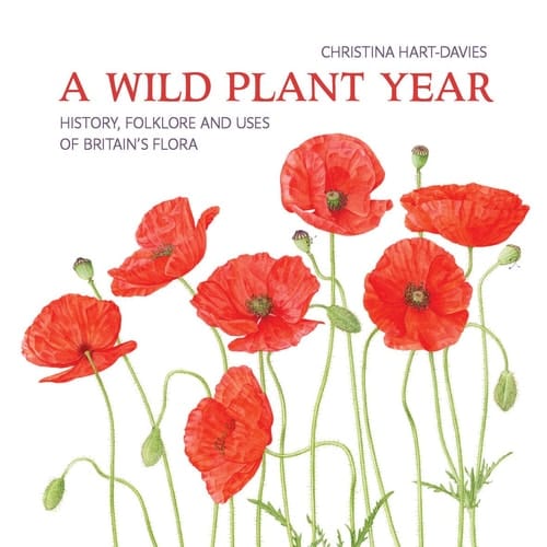 A Wild Plant Year History, Folklore and Uses of Britain's Flora