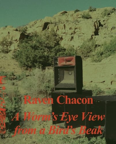 Raven Chacon A Worm’s Eye View From a Bird’s Beak