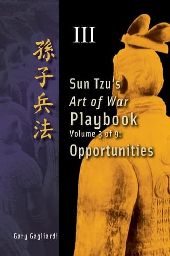 Volume 3 Sun Tzu's Art of War Playbook: Opportunities