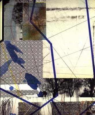 Animate Inanimate Aims