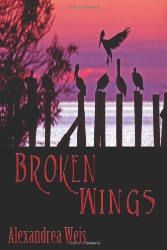 Broken Wings