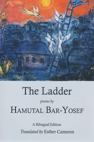 The Ladder Poems