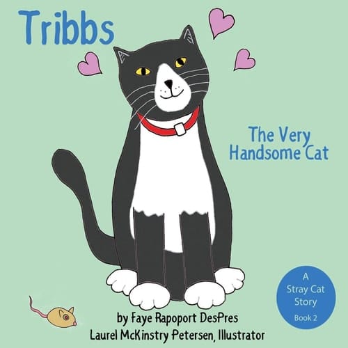 Tribbs The Very Handsome Cat