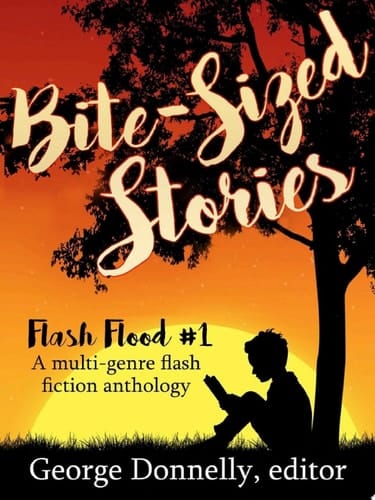 Bite-Sized Stories A Multi-Genre Flash Fiction Anthology