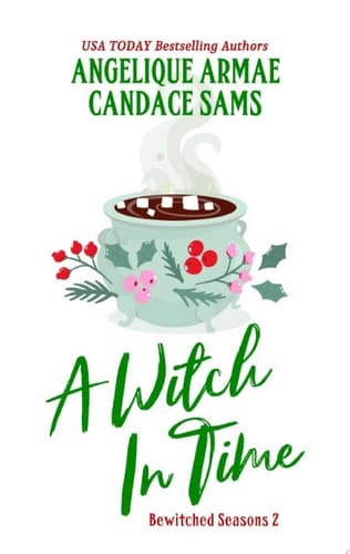 A Witch In Time: Bewitched Seasons 2