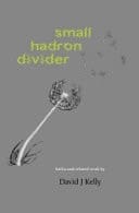 Small Hadron Divider Haiku and Related Works of David J Kelly