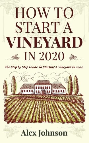 How To Start A Vineyard In 2020 The Step by Step Guide To Starting A Vineyard In 2020