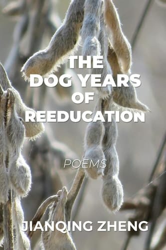 The Dog Years of Reeducation Poems