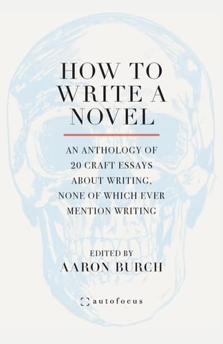How to Write a Novel An Anthology of 20 Craft Essays About Writing, None of Which Ever Mention Writing