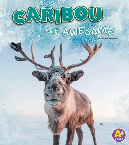 Caribou Are Awesome