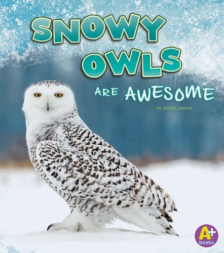 Snowy Owls Are Awesome